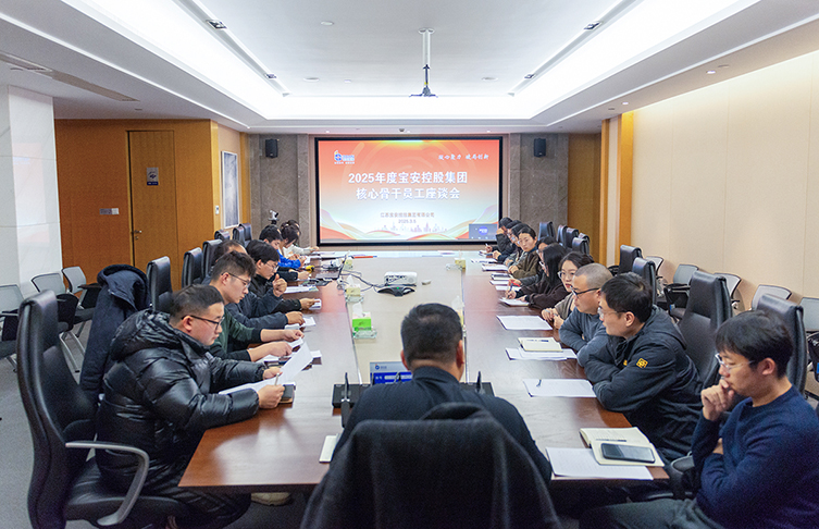 凝心聚力 破局創新——江蘇寶安控股集團召開2025年度核心骨干員工座談會