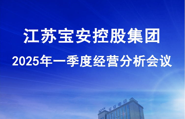 江蘇寶安控股集團(tuán)2025年一季度經(jīng)營分析會(huì)議圓滿召開