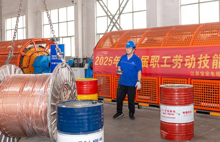 寶安電纜2025年第三屆職工勞動(dòng)技能競(jìng)賽-行車專項(xiàng)賽圓滿落幕